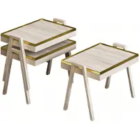 AEA Elegantes Beiges Holz Couchtisch-Set im modernen Stil