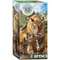 Eurographics Puzzle Tigre, maman avec bébé, 250 pièces, 33 x 48 cm, 8251-5559