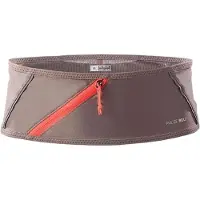 Salomon Pulse Waist Bag Gris XL