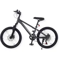 Buxibo - Austin bike - VTT enfant - Cadre acier - 20 pouces - Gris