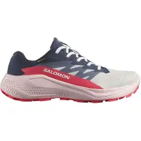 Salomon Chaussures De Trail Running Alphaglide Gore-tex