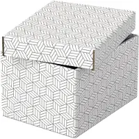 Esselte Boîtes de rangement Home - - Format S - Blanc - Carton - x3