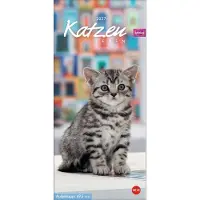 Sonstige Verlage Calendrier Whiskas « La vie d'un chat » 2027
