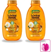 Garnier 2 bouteilles de shampooing Loving Blends, à l'huile d'argan et au camélia, pour cheveux secs et ternes, 300 ml. Pack économique - 2 pièces