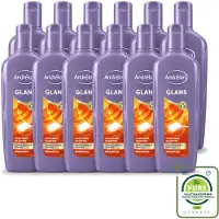 Unilever 12 flacons de shampooing Andrélon pour hommes, format 300 ml, lot de 12
