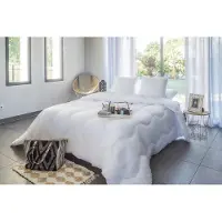OEM Couette en duvet anti-acariens, dimensions 260x240 cm, légère, idéale pour l'été, 250 g/m²