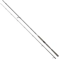 Daiwa Saltist Ags Iii Spinning Rod Noir 3.05 m / 14-56 g