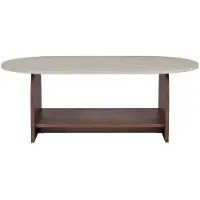CALICOSY - Table basse avec deux plateaux L110 cm - ASTER
