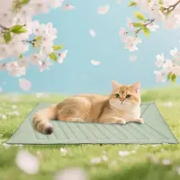Sonstiges Tapis rafraîchissant pour chiens, couleur vert glacier, sans gel, surface en tissu rafraîchissant, envers en velours, lavable, taille A