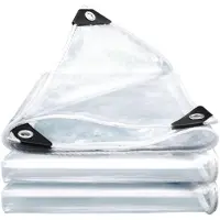Sonstiges Bâche transparente avec œillets, dimensions 2x4 mètres, PVC, 420 g/m², résistante aux intempéries