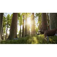 Hunting Simulator Xbox