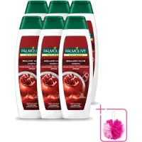 Palmolive 6 flacons de shampooing Naturals Brilliant Color, pour cheveux colorés, 350 ml - Pack économique - 6 pièces