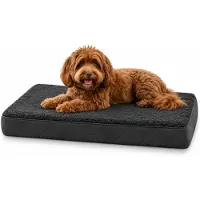 Belviona Matelas pour chiens, matelas doux & stable avec housse lavable, 76x51x8 cm, noir