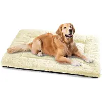 Merkloos Lit pour chien, adapté aux grandes races, lavable, dimensions 122 x 75 cm, coussin super doux pour chat avec base antidérapante, couleur beige