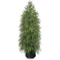 Sonstiges Arbre de Noël artificiel, cypresse, 90 cm, pot noir