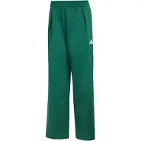 Adidas Pantalon de sport vert / blanc