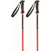 Nordica Bâtons Junior Kids