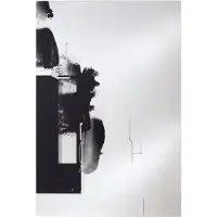 Casa Padrino Designer Salon Miroir mural Noir 101 x H. 150 cm - Meubles de Luxe