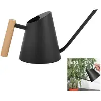 OEM Tuyau d'arrosage métallique de 800 ml avec bec verseur long et poignée en bois - Pour un arrosage précis des plantes d'intérieur et des serres - Noir