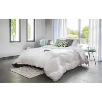 Merkloos Couverture pour lit double, ultra-fine, 260 x 240 cm, en fibre écologique pour un confort optimal, idéale pour la chambre à coucher