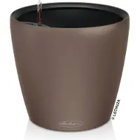 Lechuza Classico Color. (43 x 43 x 39 cm)