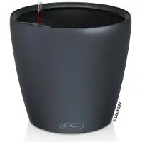 Lechuza Classico Color (28 x 28 x 26 cm)