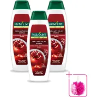 Palmolive 3 bouteilles de shampooing Naturals Brilliant Color, pour cheveux colorés, 350 ml - Pack économique - 3 pièces