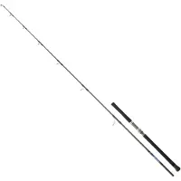 Daiwa Canne Pêche De Fond Saltiga Tuna