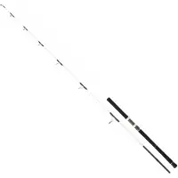 Daiwa Canne Spinning Saltist Off Shore