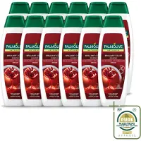 Palmolive 12 flacons de shampooing Naturals Brilliant Color, pour cheveux colorés, 350 ml - Pack économique - 12 pièces
