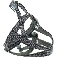 Nobby Harnais norvégien Classic Preno Royal (L, M, Chien)
