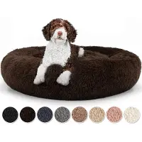 Sonstiges Lit pour chien en forme de donut, doux et moelleux, également adapté aux chats, de couleur marron, dimensions 40x40x20 cm, avec housse amovible et lavable