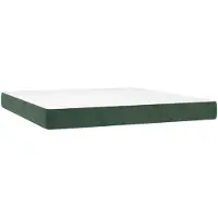vidaXL Matelas de poche, vert foncé, 160X210X20 cm, velours Lumarko !