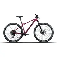 Lapierre Vtt Prorace Cf 6.9 29´´ Eagle 70 2026