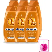 Schwarzkopf 6 flacons de shampooing à l'huile d'argan et réparateur - Pour cheveux secs et abîmés - 400 ml - Pack économique - 6 pièces