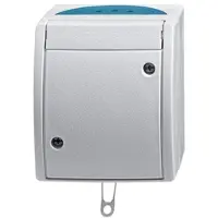 Busch-Jaeger Interrupteur à tirette 2610/6 W-53 2CKA001383A0141