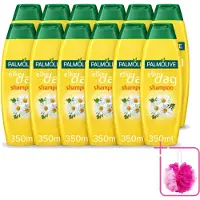 Palmolive 12 flacons de shampooing "Chaque Jour" à l'extrait de camomille, 350 ml - Pack économique - 12 pièces