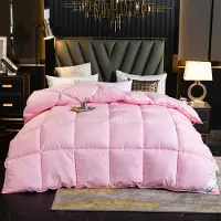 Merkloos Couette toutes saisons 59x79 pouces