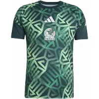 Adidas T-Shirt fonctionnel 'Mexiko 26 Pre-Match' pomme / vert foncé / blanc