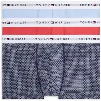 Tommy Hilfiger Um0um02768 Boxers Multicolore S Homme