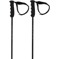 Völkl Bâtons Speedstick
