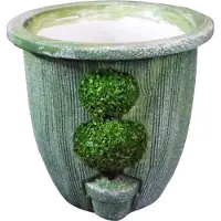 Goliat Cache-pot avec arbre 8x9 cm