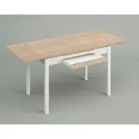 Dripio Table extensible pour repas, dimensions 100x60 cm, aspect chêne brut, structure métallique