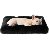 EHEYCIGA Lit douillet pour chien, lavable, dimensions 60x45 cm, couleur noire