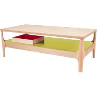 Kendra Home Table basse Addison II en frêne avec étagère verte 120x60 cm