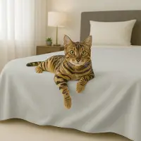 Merkloos Couverture de lit en mélange de Coton, disponible pour différentes tailles de lit