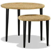 Merkloos Ensemble de deux tables basses en jonc et en acier