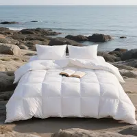 OEM Couette 135x200 cm, garnie de 30% de duvet et 70% de plumes, en Coton, confort moyen