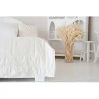 OEM Couverture pour lit en duvet, dimensions 220x240 cm, 200 g/m², housse en coton 400 fils, adaptée à toutes les saisons