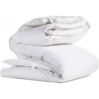 OEM Couette en duvet de canard, 200x200 cm, composée de 70% de duvet de canard et de 30% de plumes, avec un garnissage de 300 g/m²